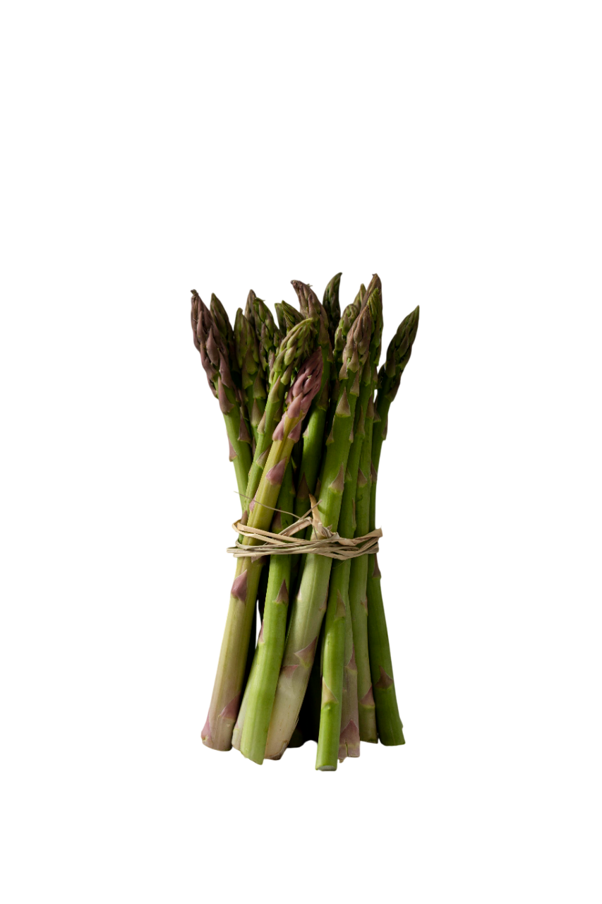 Asparagi