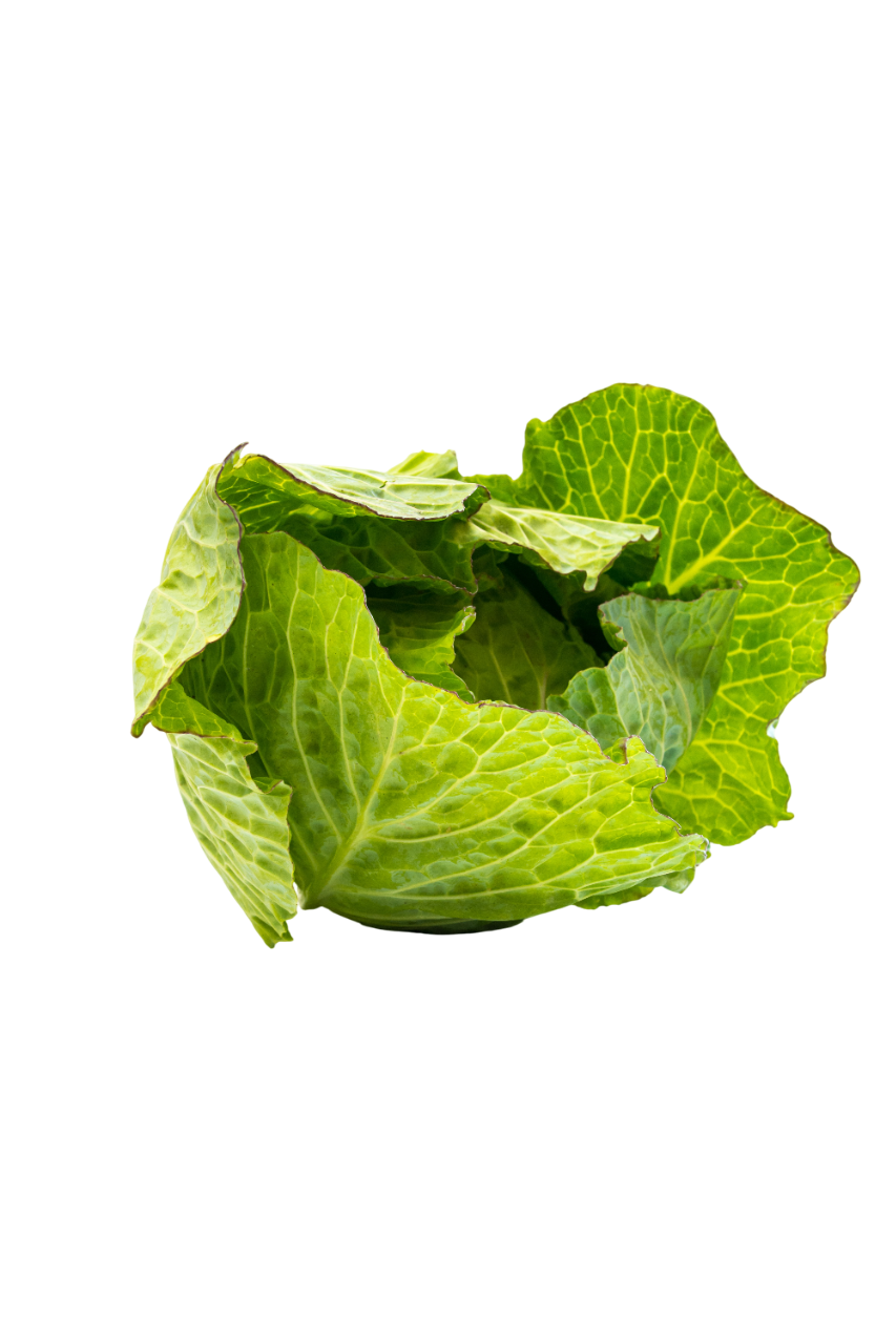 Cavoli