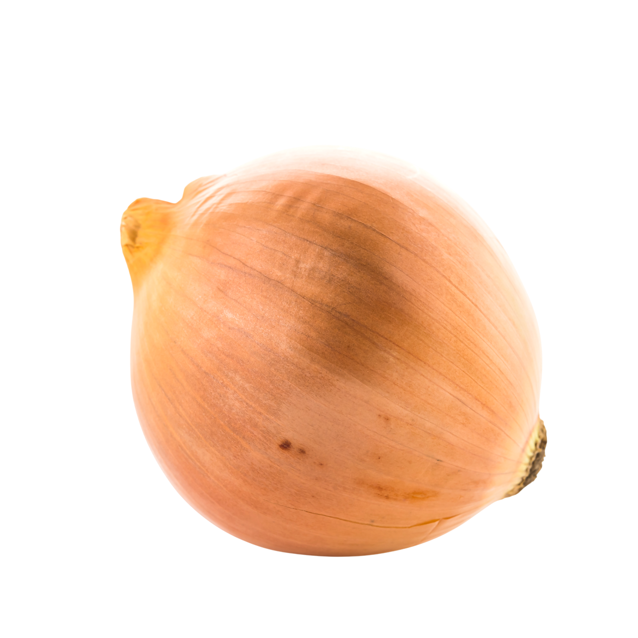 Cipolle
