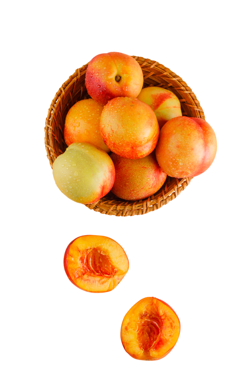 Pesche